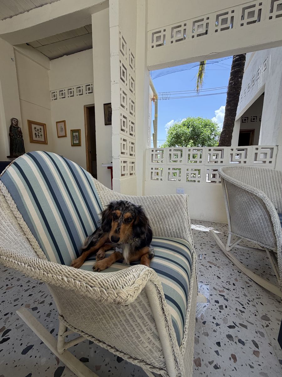 Mecedora de mimbre en el balcón, con compañía de cuatro patas